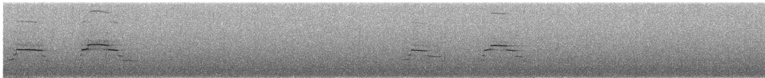 Blue Duck - ML651263099