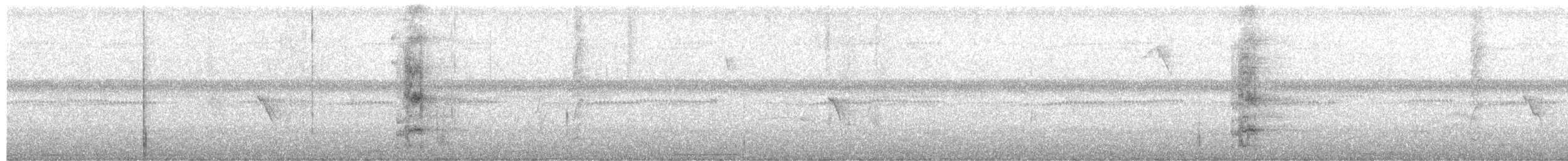 Pione noire - ML651267991