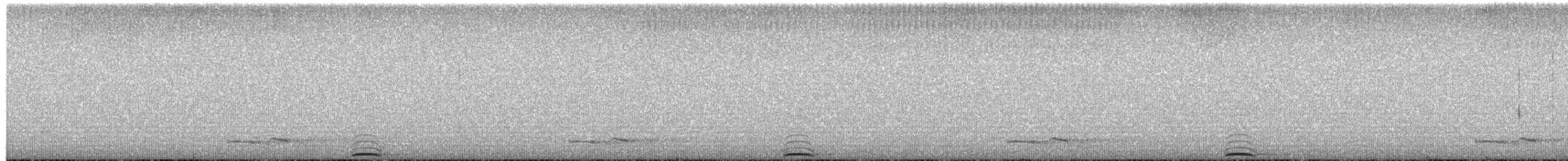 Flammulated Owl - ML651278336