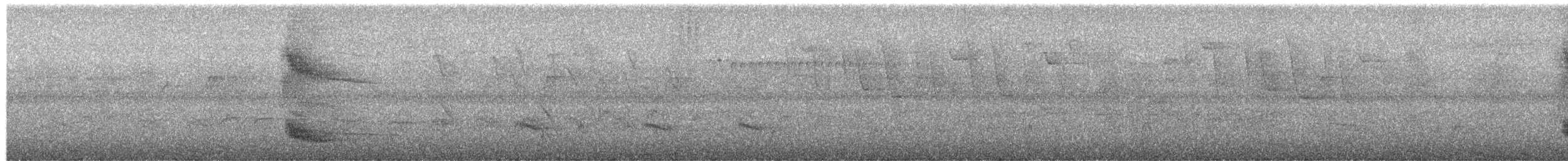 Solitary Black Cacique - ML651293998