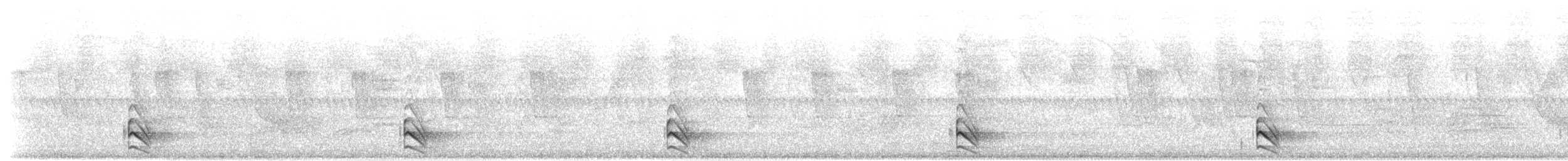 Barred Forest-Falcon - ML651299671
