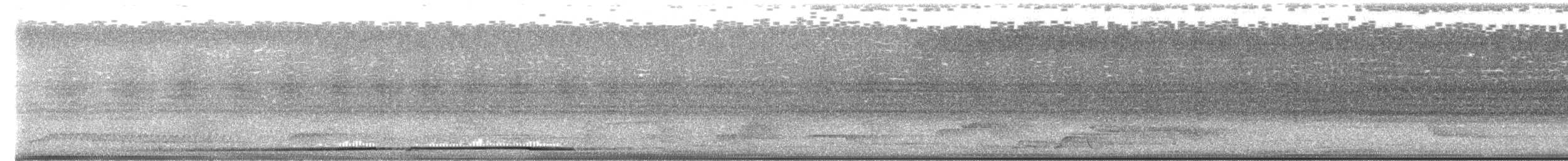 pita papuánská - ML651302902