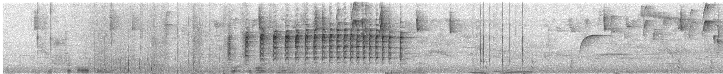 stripeløvgransker - ML651303725