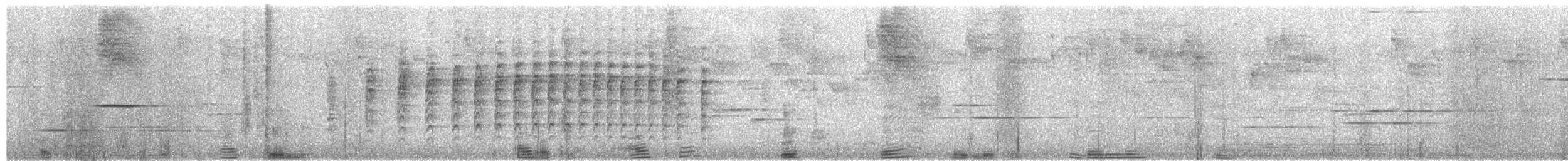 stripeløvgransker - ML651303726