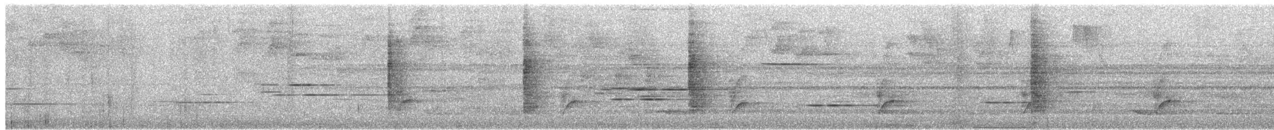 kilenebbtreløper - ML651303737