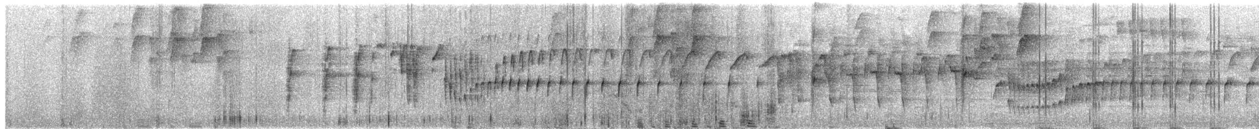 båndvingeullkrage - ML651303795