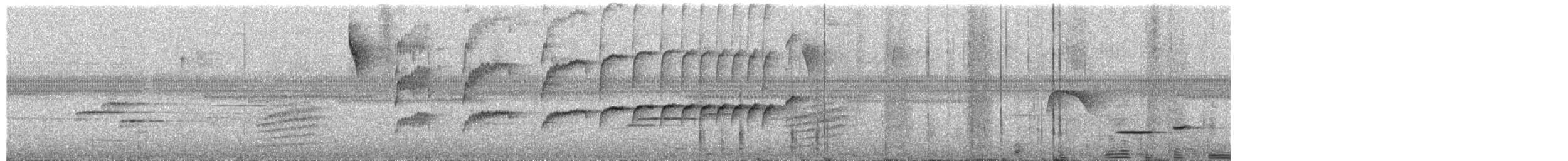 haukbekard - ML651303826