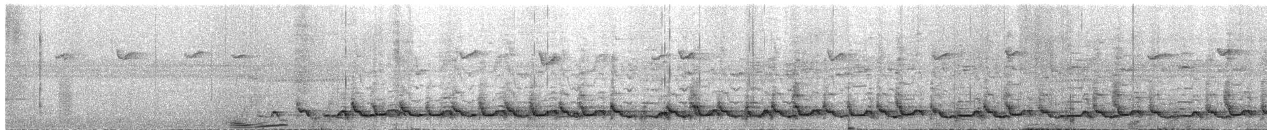 svartbrysttannvaktel - ML651303834