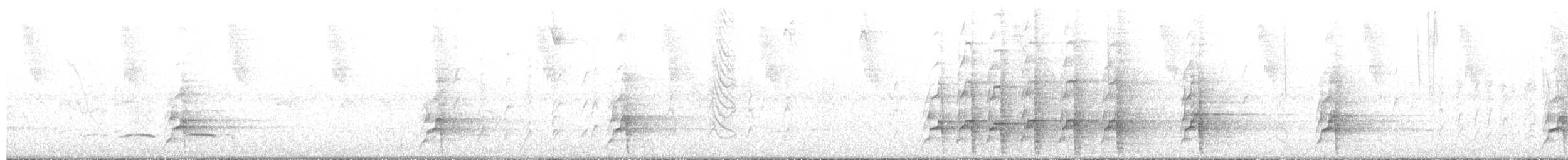 Colombian Chachalaca - ML651308122