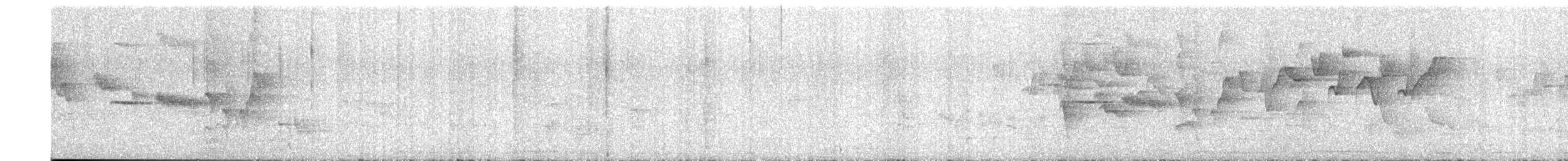 Gray-hooded Warbler - ML651310023