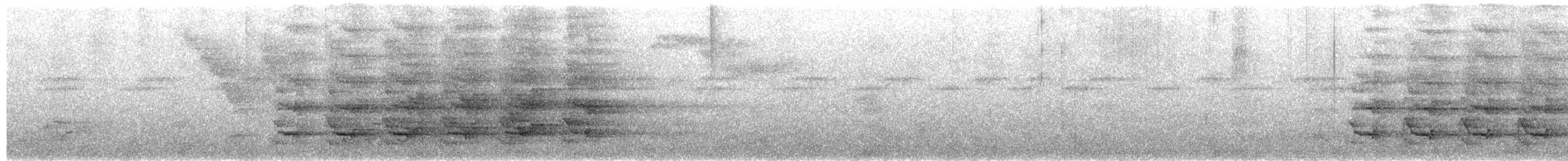 amazoňan dominický - ML651316702