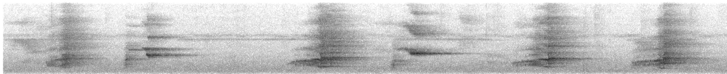 amazoňan dominický - ML651316937