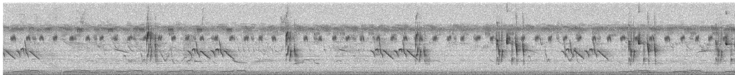 Fulvous-crowned Scrub-Tyrant - ML651320780