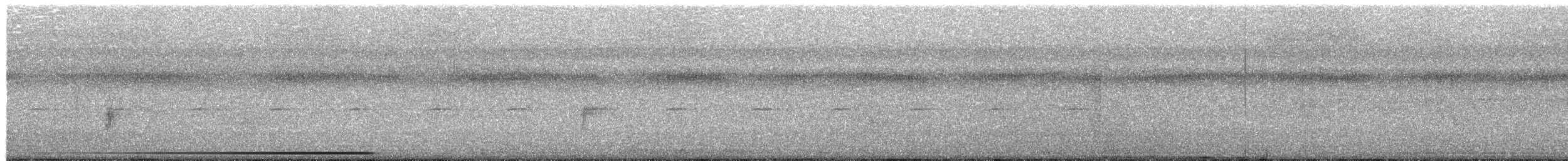 Polluela Elegante - ML651321531