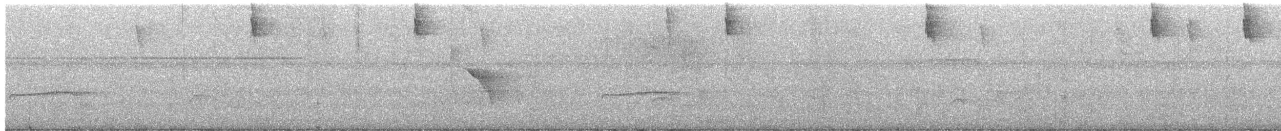 Blue Dacnis - ML651326407