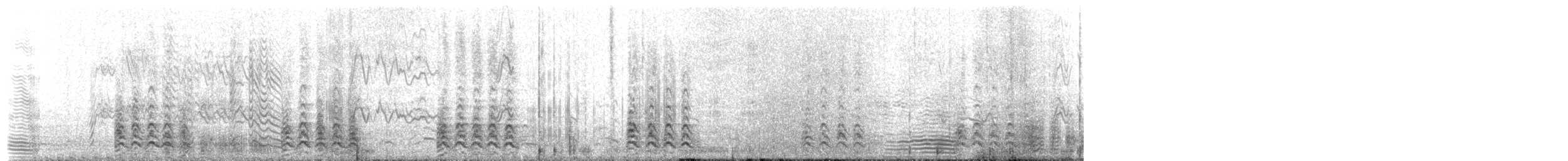 ミナミオオセグロカモメ（austrinus） - ML651328872