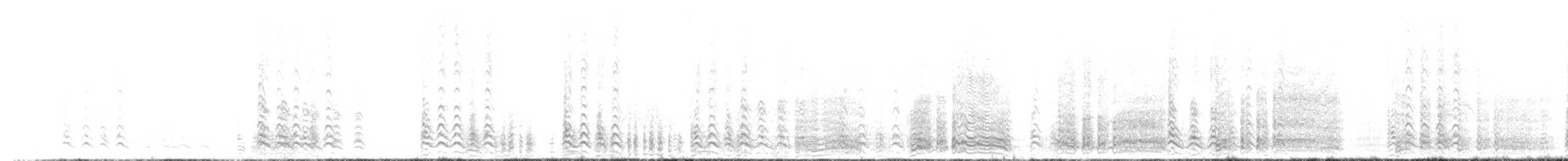 ミナミオオセグロカモメ（austrinus） - ML651328873