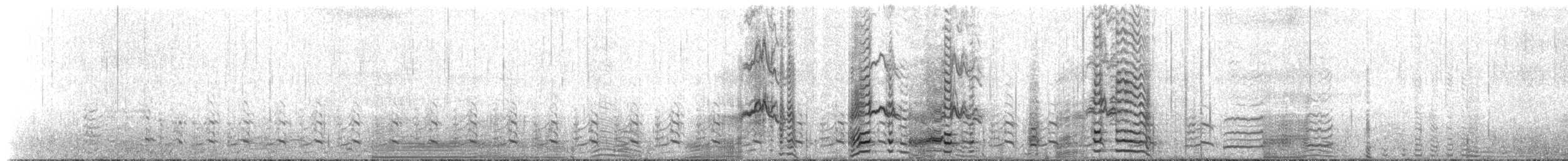 アデリーペンギン - ML651328928