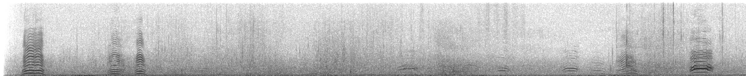 アデリーペンギン - ML651328929