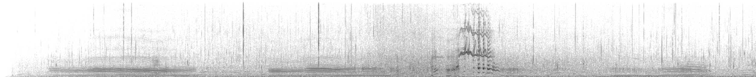 アデリーペンギン - ML651328930