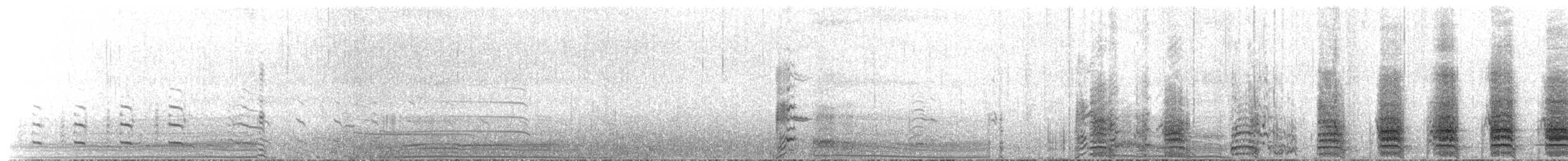 ミナミオオトウゾクカモメ（lonnbergi） - ML651328987