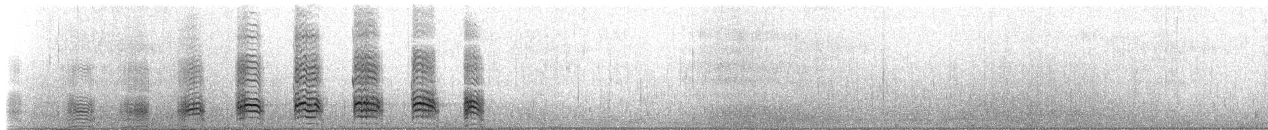 ミナミオオトウゾクカモメ（lonnbergi） - ML651328988