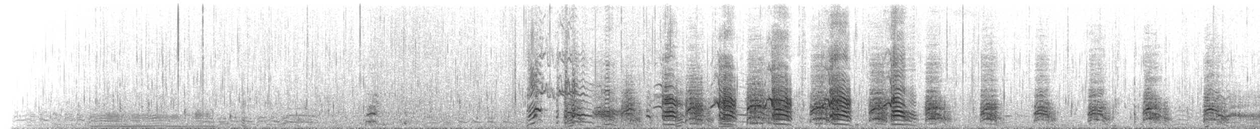 ミナミオオトウゾクカモメ（lonnbergi） - ML651328989