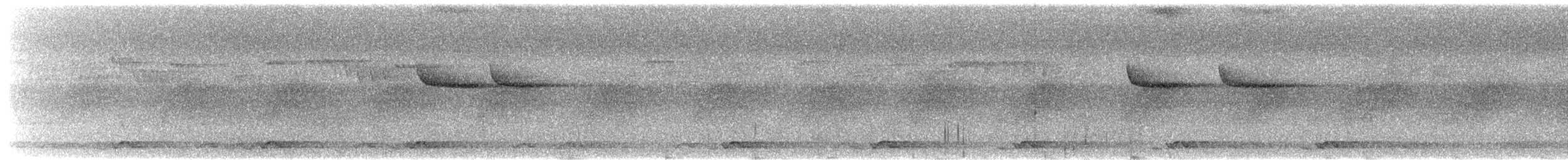 White-crowned Forktail (Northern) - ML651335038