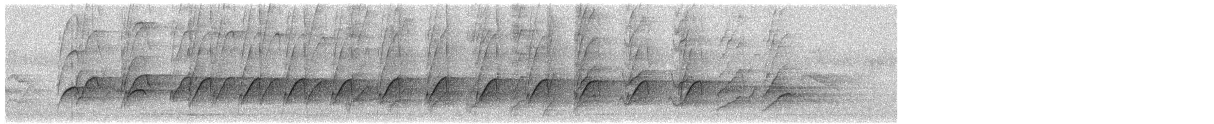 Gray-headed Parakeet - ML651356799