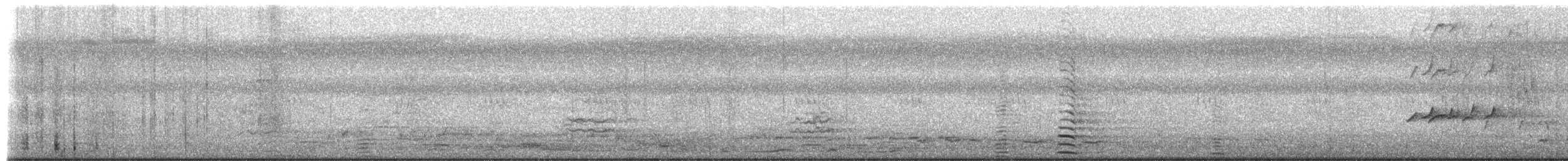 Spaltfußgans - ML651364681