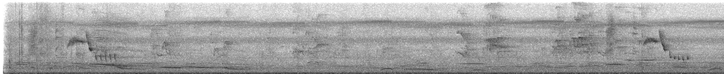 Roststirn-Dornschnabel - ML651364694