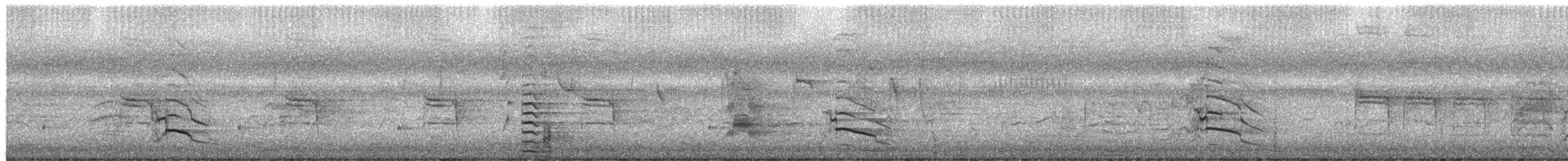 Gelbschwanz-Rabenkakadu - ML651364739