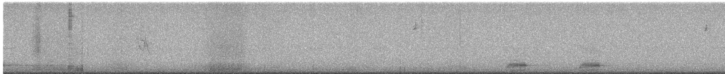 čížek severoamerický - ML651368912