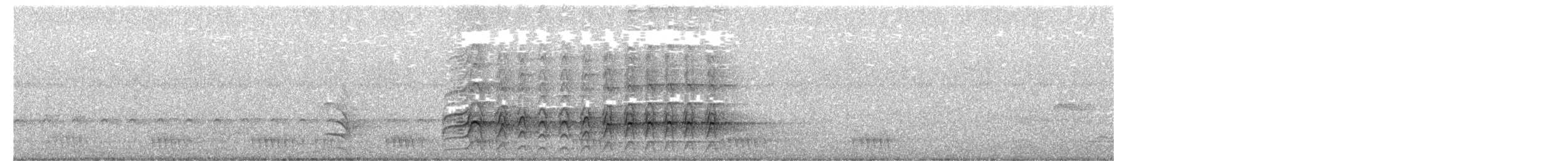 Roadside Hawk - ML651371481