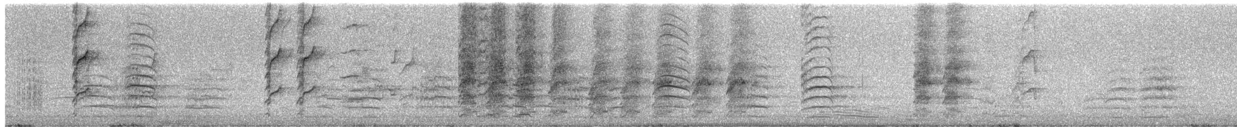 彩虹吸蜜鸚鵡 - ML651372402