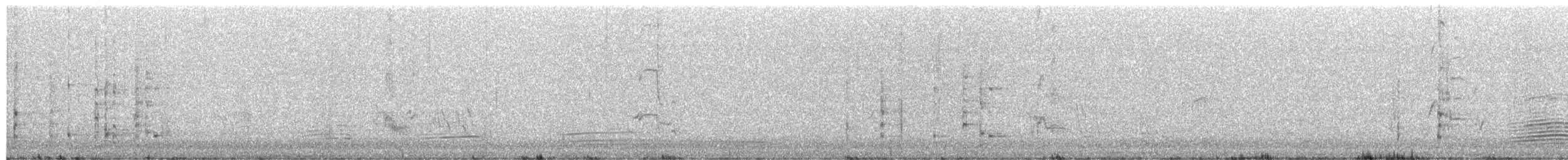 Western Wattlebird - ML651372531