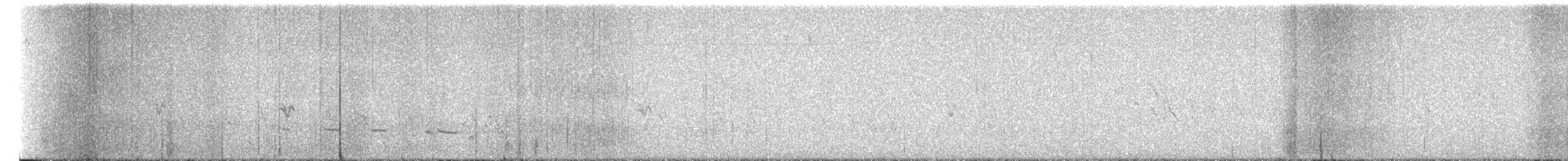 čížek severoamerický - ML651373855