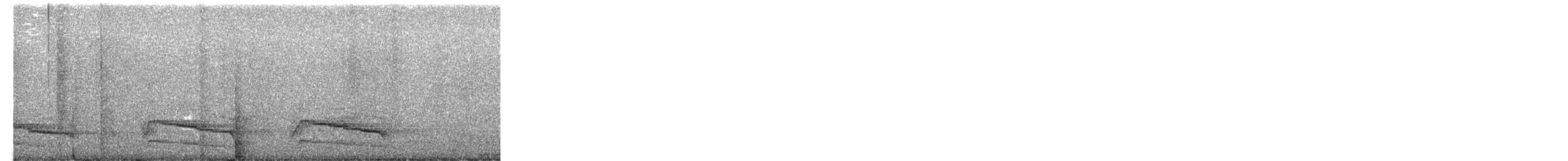 Red-shouldered Hawk - ML651375054