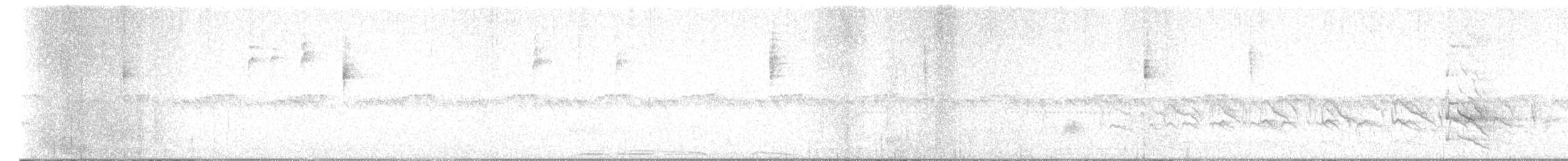 Townsend's Warbler - ML651375436