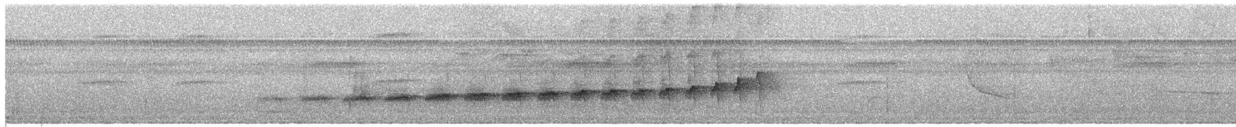 Dusky-throated Antshrike - ML651393948