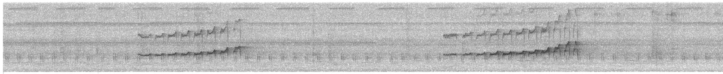 Wedge-billed Woodcreeper - ML651394028