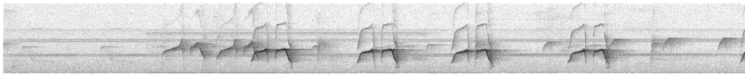 Dot-backed Antbird - ML651397425