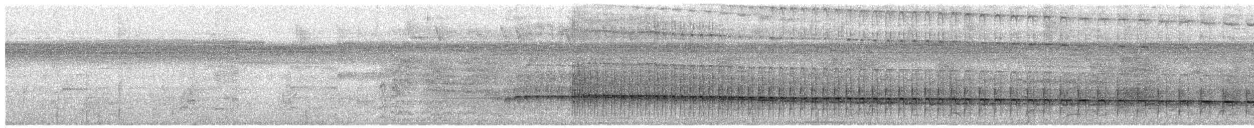ハシジロカマドドリ - ML651398762