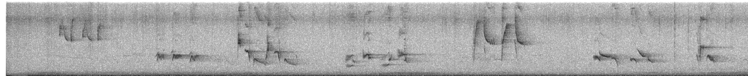 チャイロツグミモドキ - ML651404074