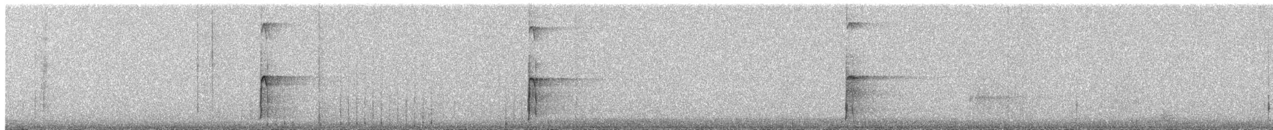 Hairy Woodpecker - ML651418769