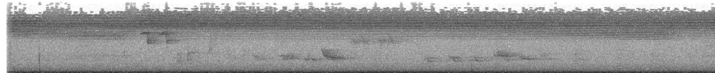 Gray-backed Thrush - ML651419644