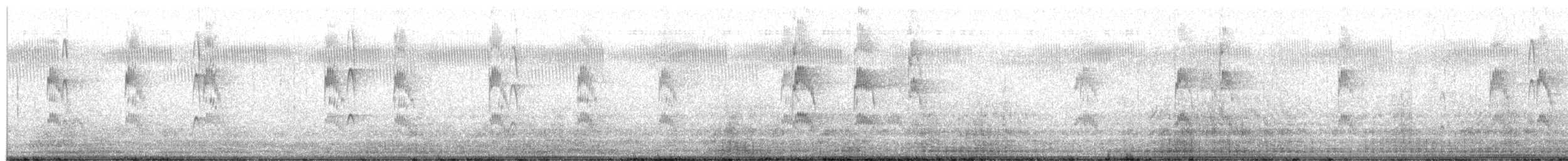 Red-cockaded Woodpecker - ML651421588