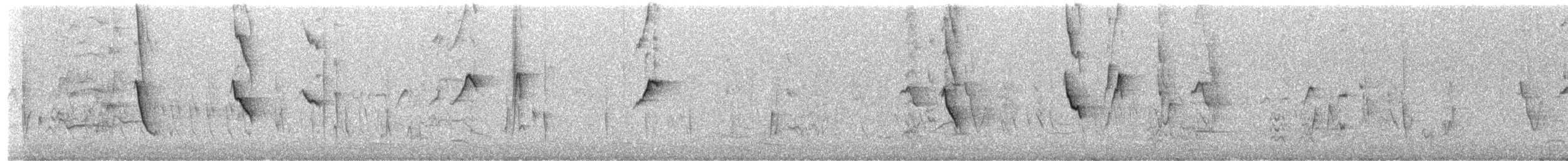 New Holland Honeyeater - ML651457864