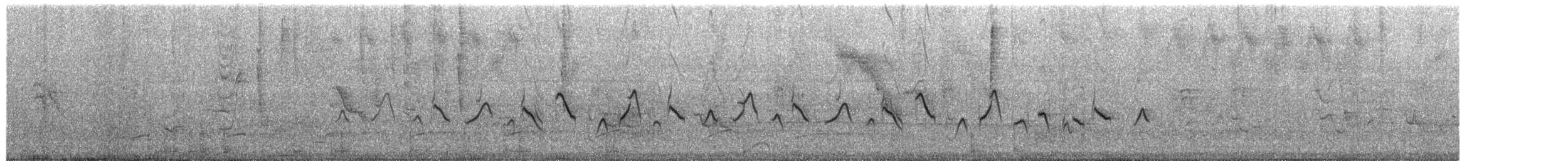 Wing-barred Seedeater (Caqueta) - ML651462604