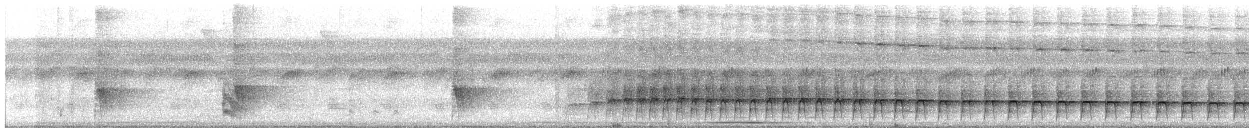 ハシジロカマドドリ - ML651466680